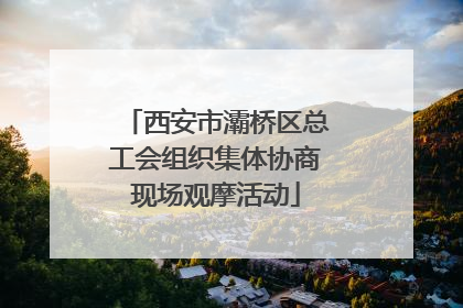 西安市灞桥区总工会组织集体协商现场观摩活动