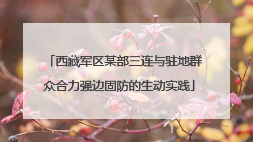 西藏军区某部三连与驻地群众合力强边固防的生动实践