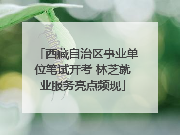 西藏自治区事业单位笔试开考 林芝就业服务亮点频现