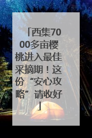 西集7000多亩樱桃进入最佳采摘期！这份“安心攻略”请收好