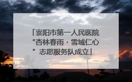 襄阳市第一人民医院“杏林春雨・雪域仁心”志愿服务队成立