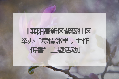 襄阳高新区紫薇社区举办“粽情邻里，手作传香”主题活动
