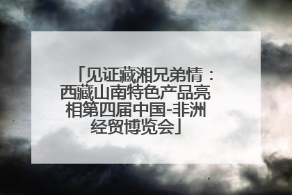 见证藏湘兄弟情：西藏山南特色产品亮相第四届中国-非洲经贸博览会