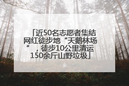 近50名志愿者集结网红徒步地“天鹅林场”，徒步10公里清运150余斤山野垃圾