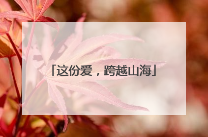 这份爱，跨越山海