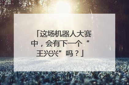 这场机器人大赛中，会有下一个“王兴兴”吗？