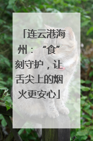 连云港海州：“食”刻守护，让舌尖上的烟火更安心