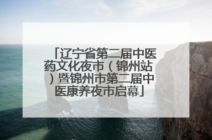 辽宁省第二届中医药文化夜市（锦州站）暨锦州市第二届中医康养夜市启幕