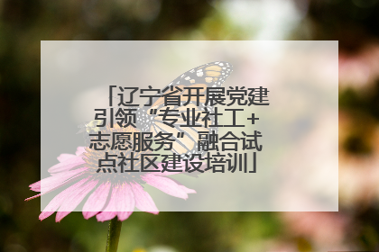 辽宁省开展党建引领“专业社工+志愿服务”融合试点社区建设培训