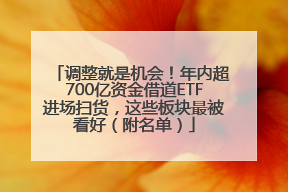 调整就是机会！年内超700亿资金借道ETF进场扫货，这些板块最被看好（附名单）