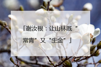 谢汝根：让山林既“常青”又“生金”