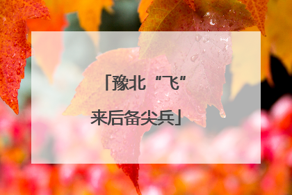 豫北“飞”来后备尖兵