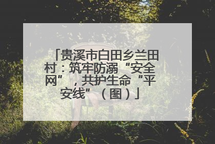 贵溪市白田乡兰田村：筑牢防溺“安全网”，共护生命“平安线”（图）