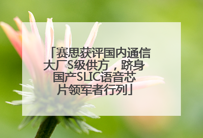 赛思获评国内通信大厂S级供方，跻身国产SLIC语音芯片领军者行列