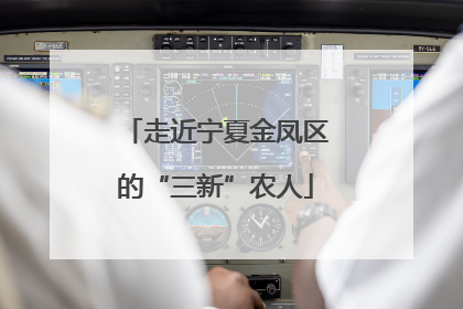 走近宁夏金凤区的“三新”农人