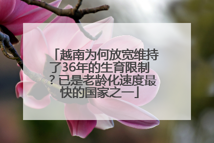 越南为何放宽维持了36年的生育限制？已是老龄化速度最快的国家之一