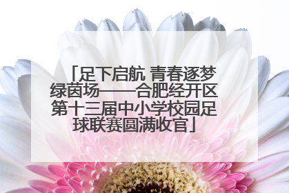 足下启航 青春逐梦绿茵场——合肥经开区第十三届中小学校园足球联赛圆满收官