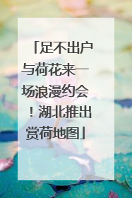 足不出户与荷花来一场浪漫约会！湖北推出赏荷地图