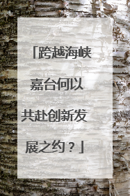 跨越海峡 嘉台何以共赴创新发展之约？