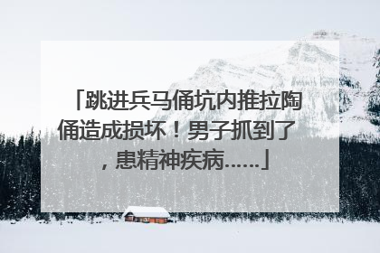 跳进兵马俑坑内推拉陶俑造成损坏！男子抓到了，患精神疾病……