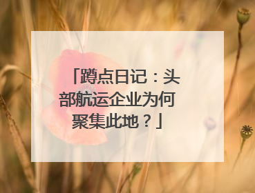 蹲点日记：头部航运企业为何聚集此地？