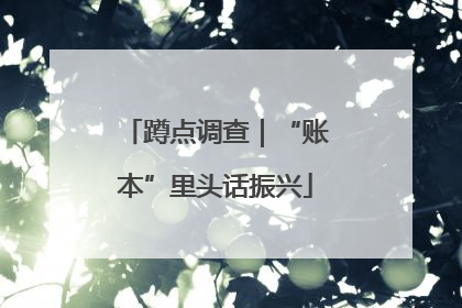 蹲点调查｜“账本”里头话振兴