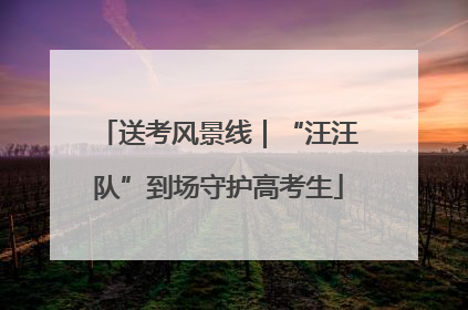 送考风景线｜“汪汪队”到场守护高考生