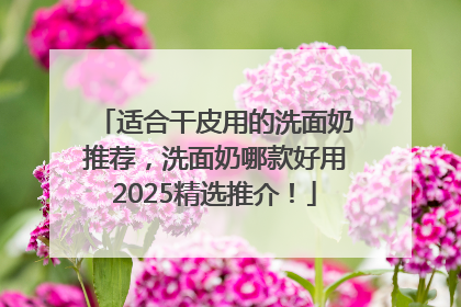 适合干皮用的洗面奶推荐，洗面奶哪款好用2025精选推介！