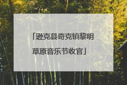 逊克县奇克镇黎明草原音乐节收官