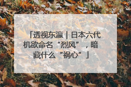 透视东瀛｜日本六代机欲命名“烈风”，暗藏什么“祸心”