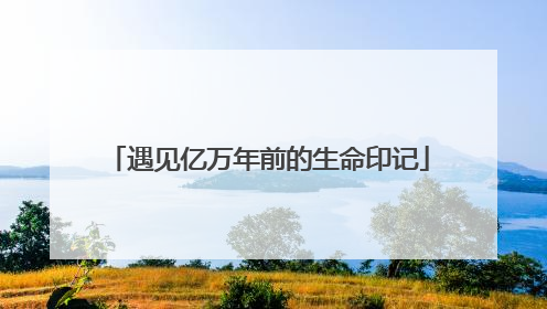 遇见亿万年前的生命印记