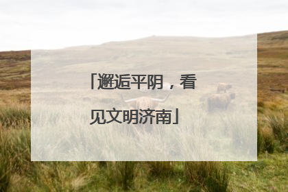 邂逅平阴，看见文明济南