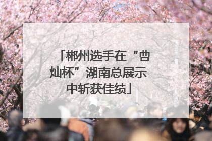 郴州选手在“曹灿杯”湖南总展示中斩获佳绩