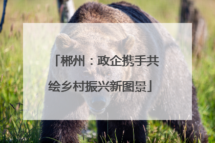 郴州：政企携手共绘乡村振兴新图景