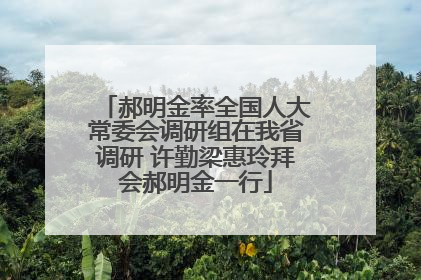 郝明金率全国人大常委会调研组在我省调研 许勤梁惠玲拜会郝明金一行