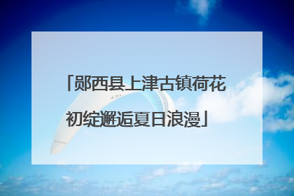 郧西县上津古镇荷花初绽邂逅夏日浪漫
