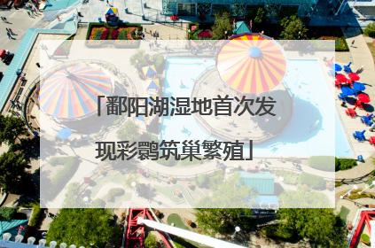 鄱阳湖湿地首次发现彩鹮筑巢繁殖