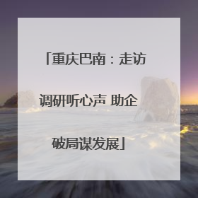 重庆巴南：走访调研听心声 助企破局谋发展