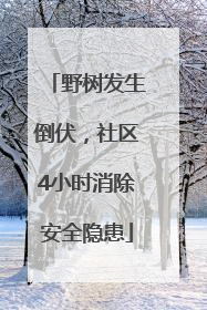 野树发生倒伏，社区4小时消除安全隐患