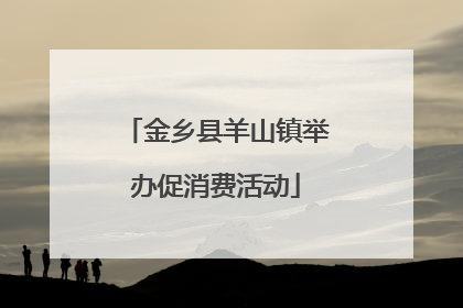 金乡县羊山镇举办促消费活动