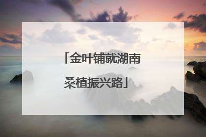 金叶铺就湖南桑植振兴路