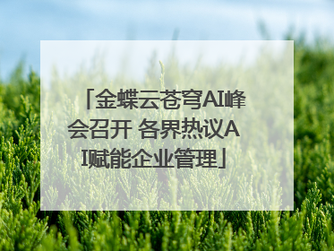 金蝶云苍穹AI峰会召开 各界热议AI赋能企业管理