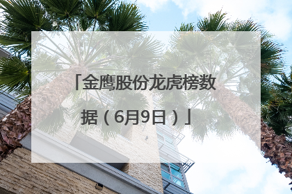 金鹰股份龙虎榜数据（6月9日）