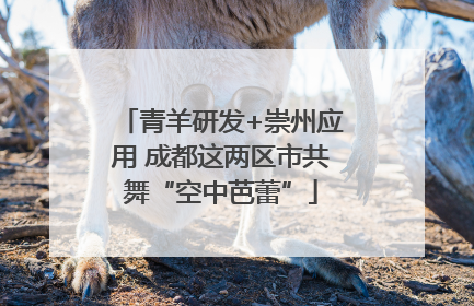 青羊研发+崇州应用 成都这两区市共舞“空中芭蕾”