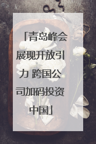 青岛峰会展现开放引力 跨国公司加码投资中国
