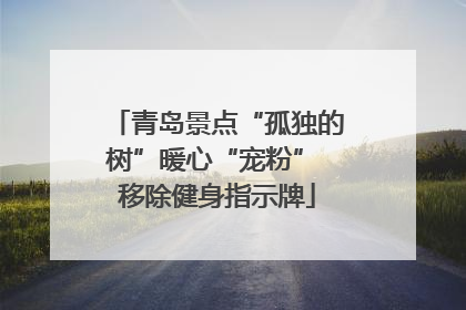 青岛景点“孤独的树”暖心“宠粉” 移除健身指示牌