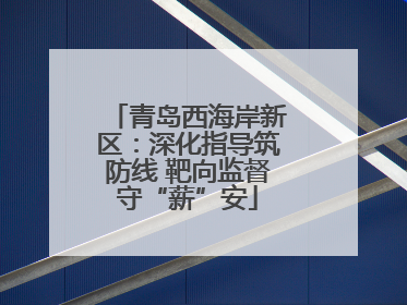 青岛西海岸新区：深化指导筑防线 靶向监督守“薪”安