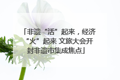 非遗“活”起来，经济“火”起来 文旅大会开封非遗市集成焦点