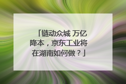 链动众城 万亿降本，京东工业将在湖南如何做？