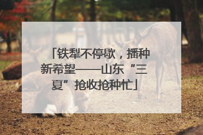 铁犁不停歇，播种新希望——山东“三夏”抢收抢种忙